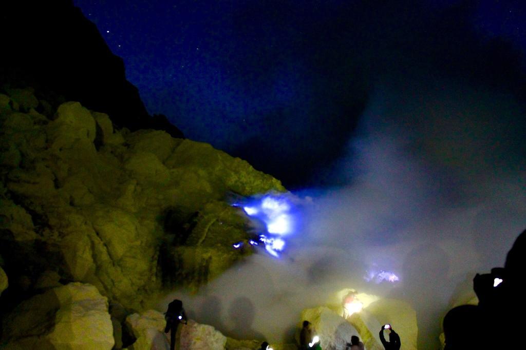 Ijen Bondowoso Home Stay エクステリア 写真