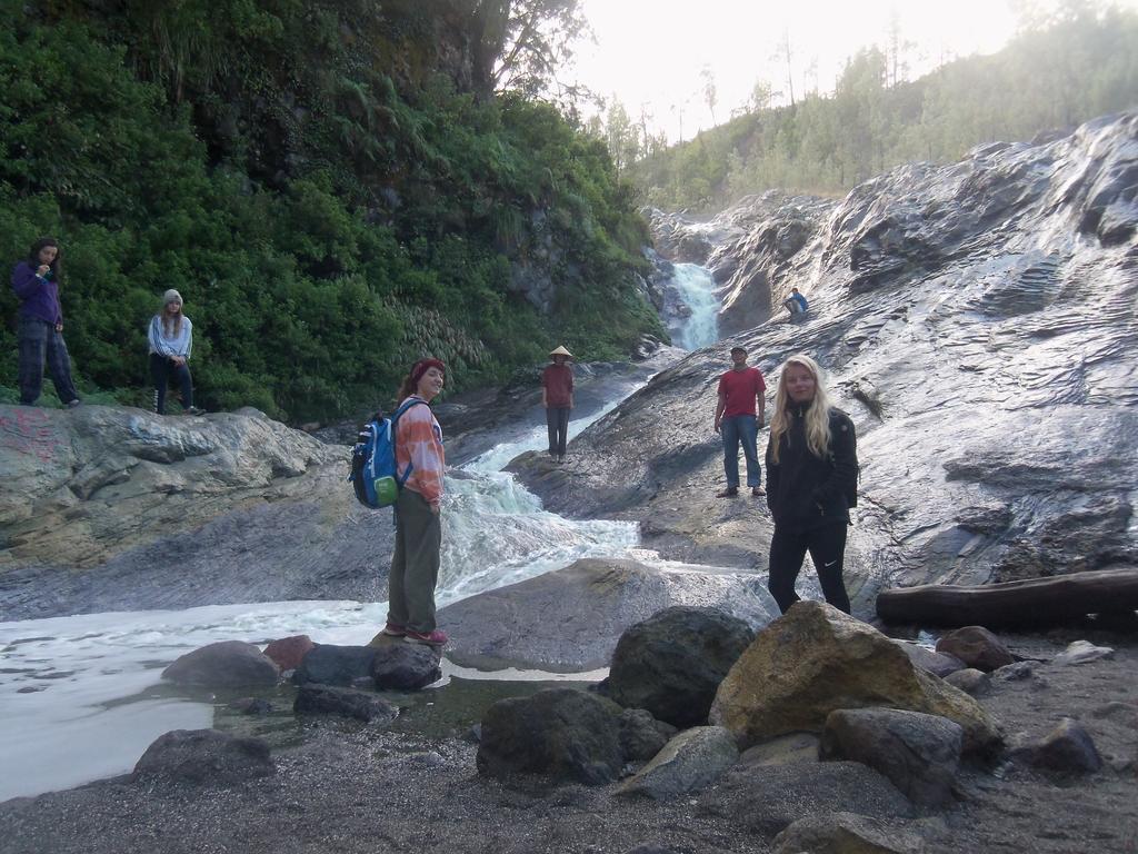 Ijen Bondowoso Home Stay エクステリア 写真